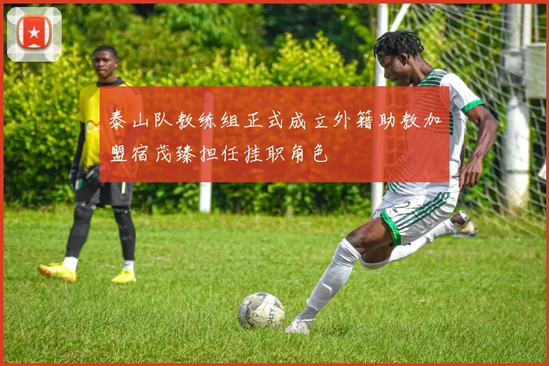 泰山队教练组正式成立外籍助教加盟宿茂臻担任挂职角色